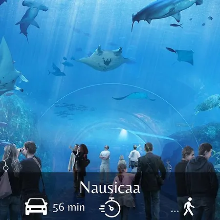 Apartment Le Cocon De Soubise - Centre-ville Et Calme Dunkirk